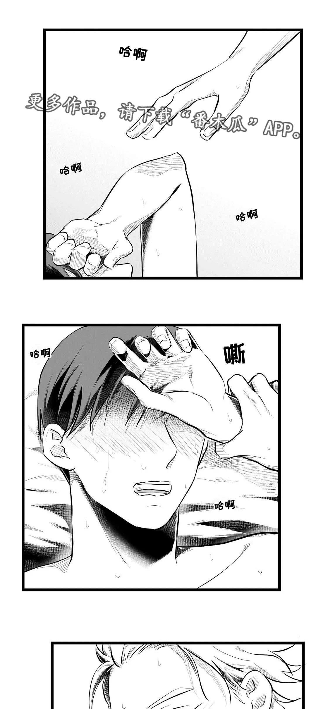 巫师与王子漫画漫画,第69章：野心8图