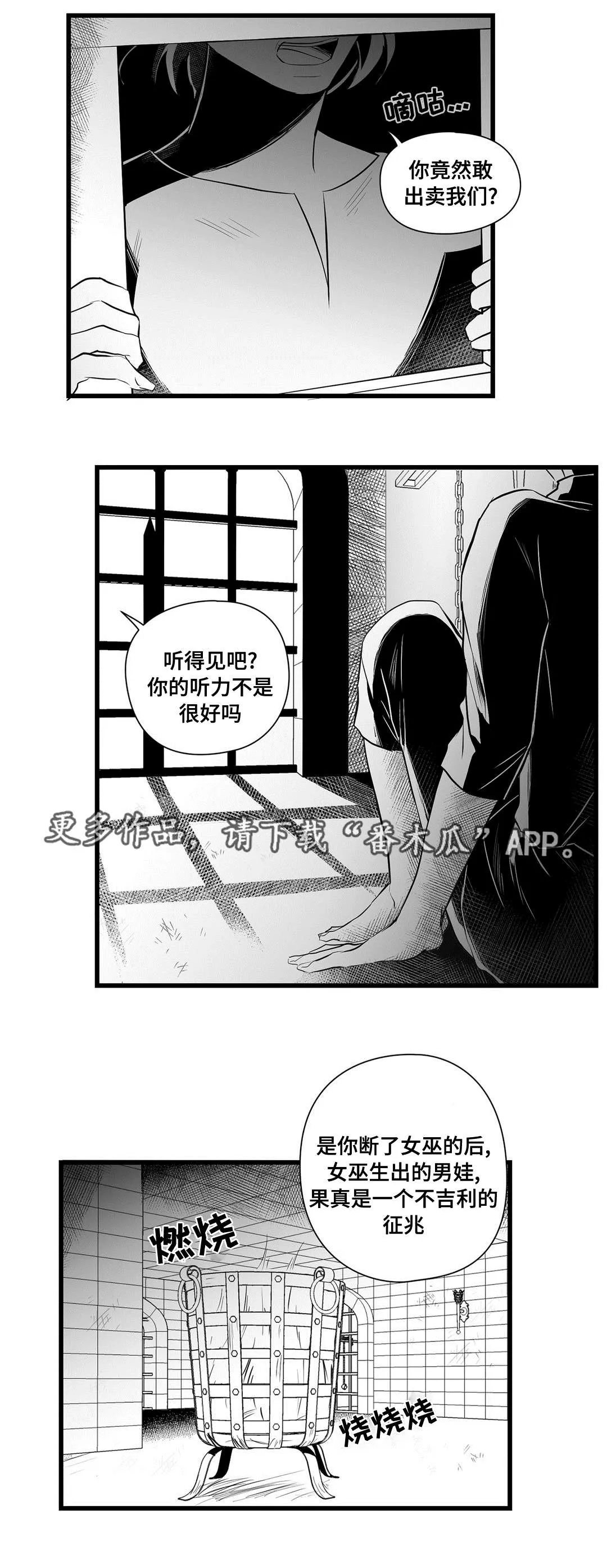 巫师与王子漫画漫画,第35章：一模一样3图