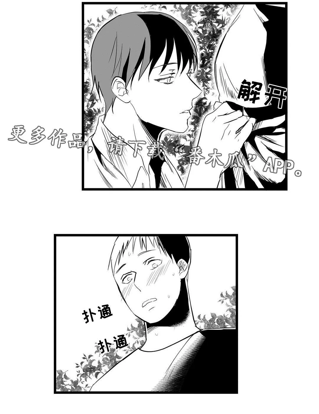 巫师与王子漫画漫画,第20章：祭品3图