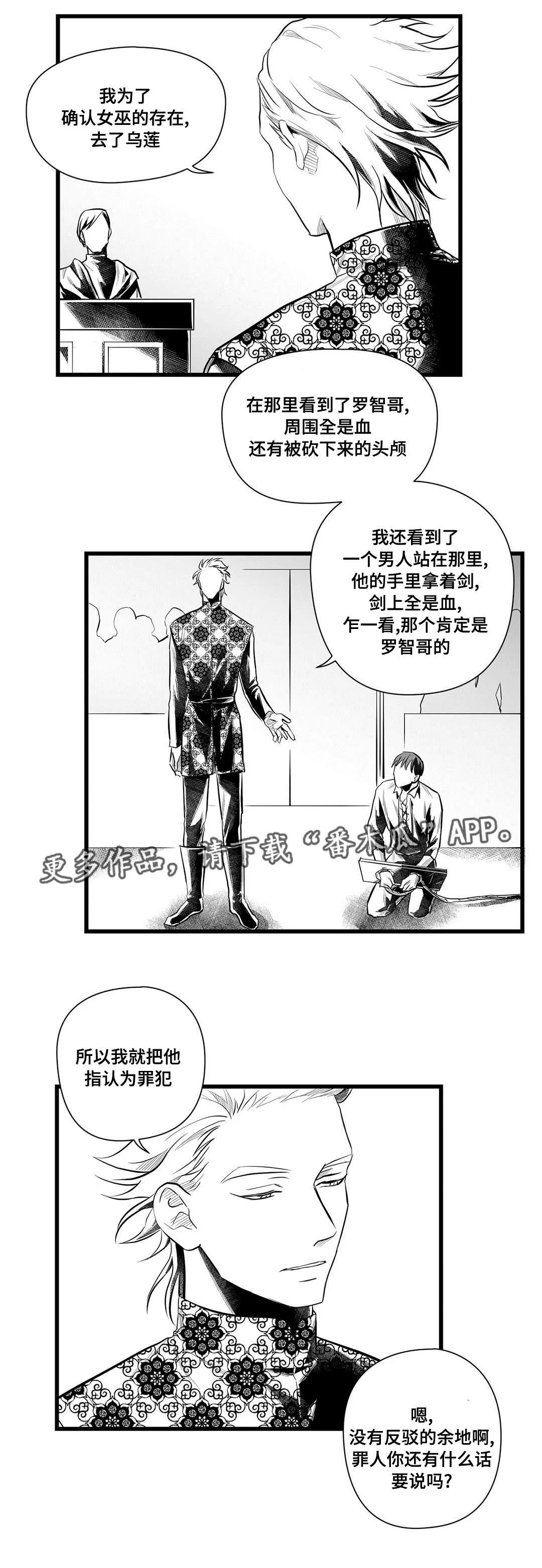 巫师和王子的故事漫画,第47章：审判6图