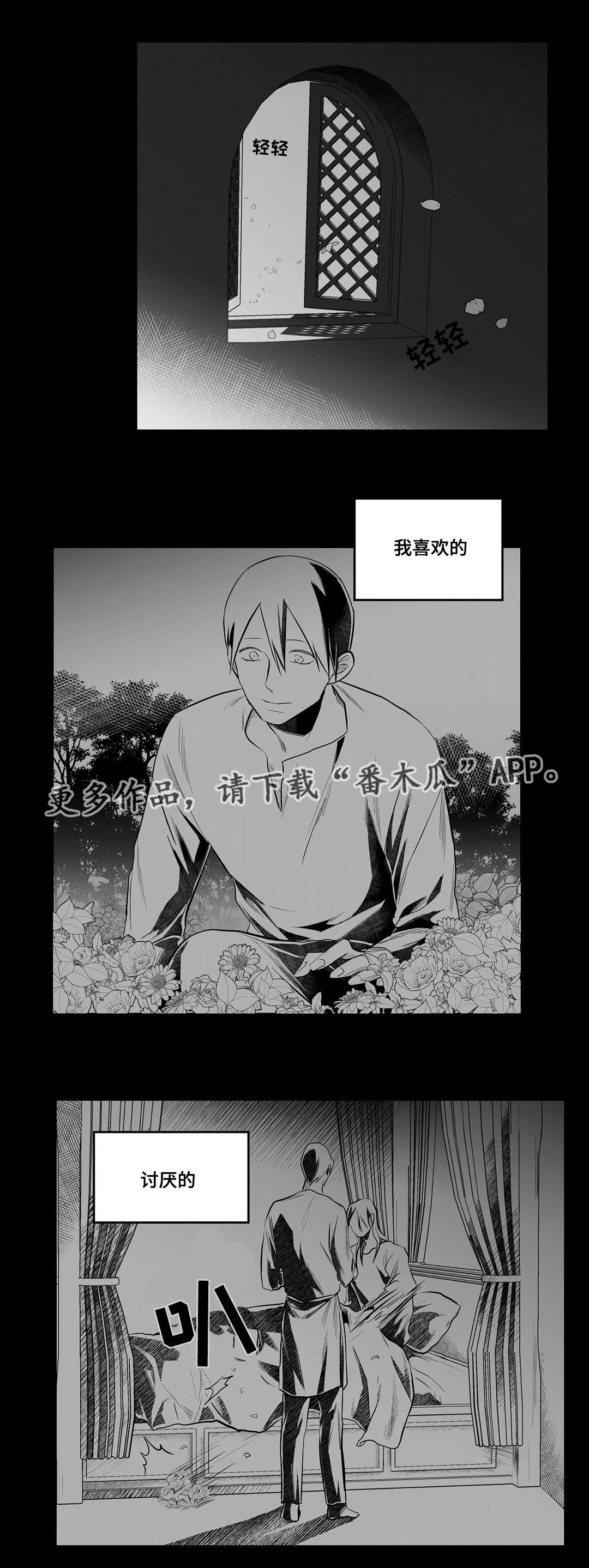 人鱼王子和巫师漫画漫画,第45章：准备5图