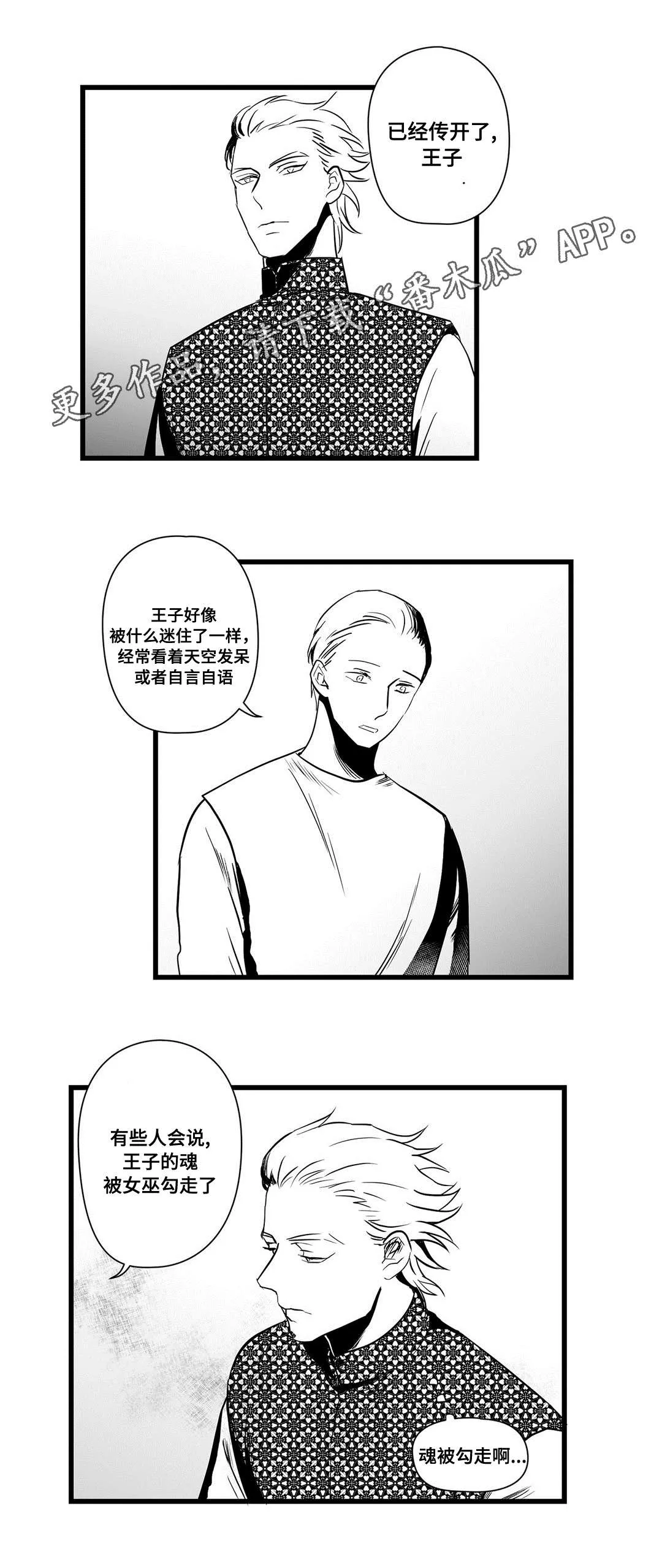 巫师与王子漫画漫画,第22章：确认9图