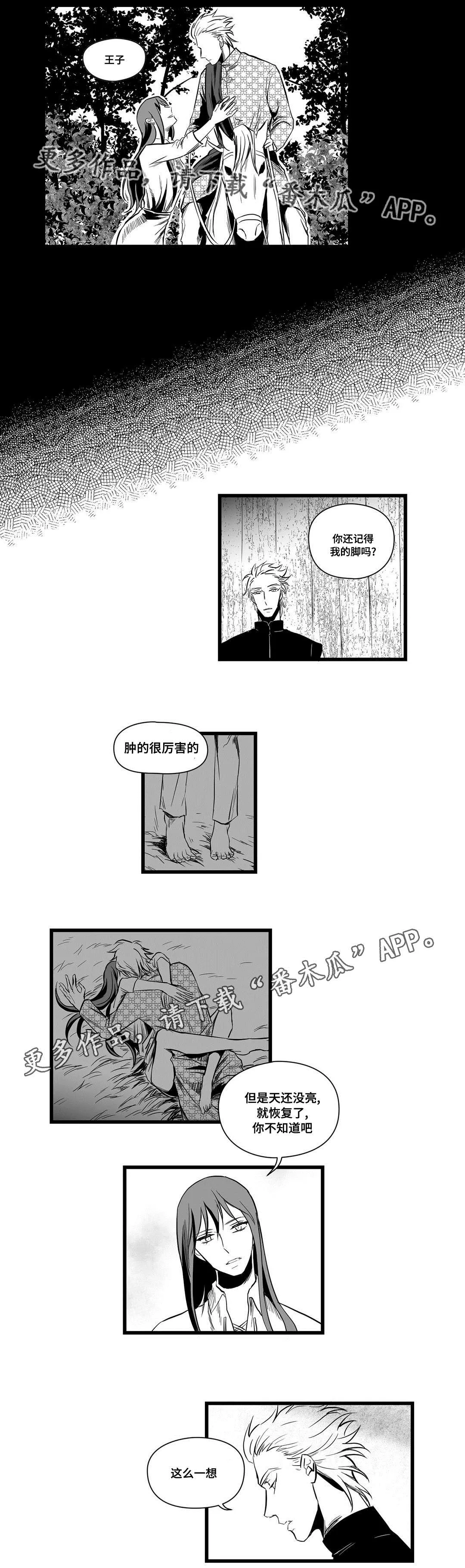 巫师与王子漫画漫画,第10章：真面目10图