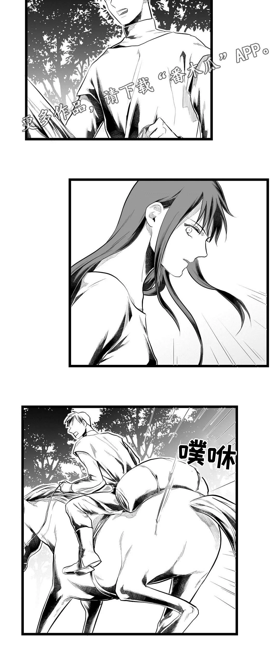 巫师与王子漫画漫画,第85章：遇袭17图