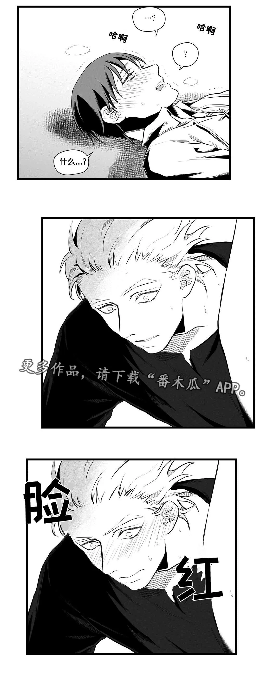 巫师与狮子漫画漫画,第39章：喜欢你10图