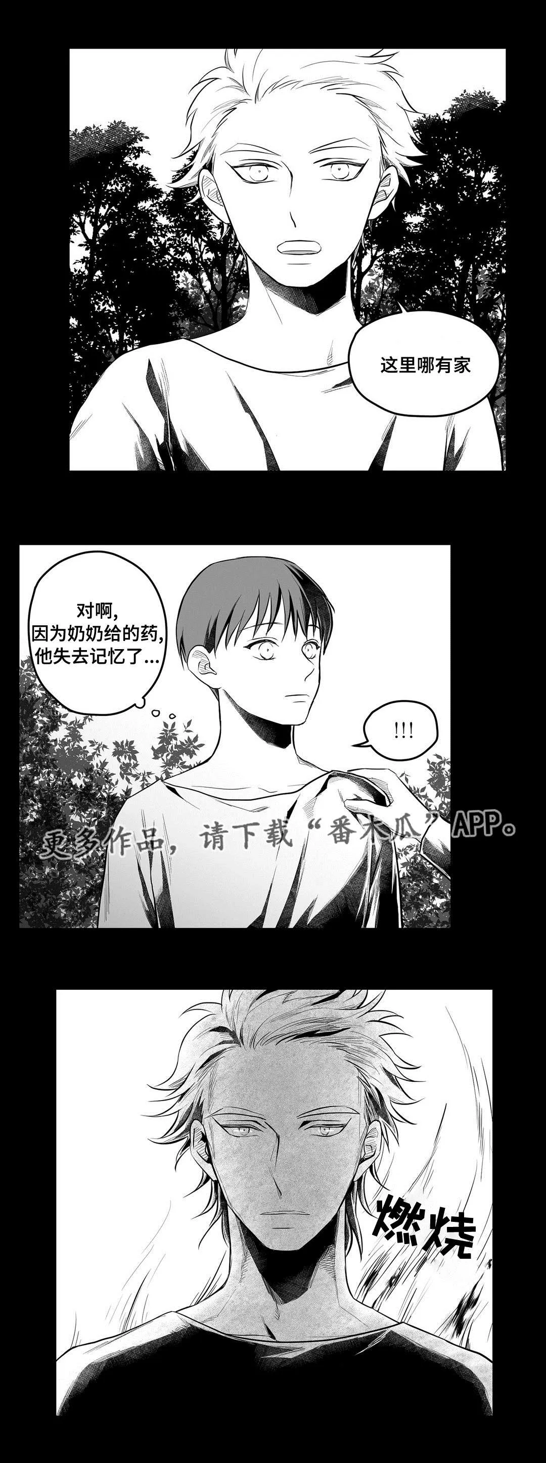 巫师与王子漫画漫画,第53章：无法理解9图