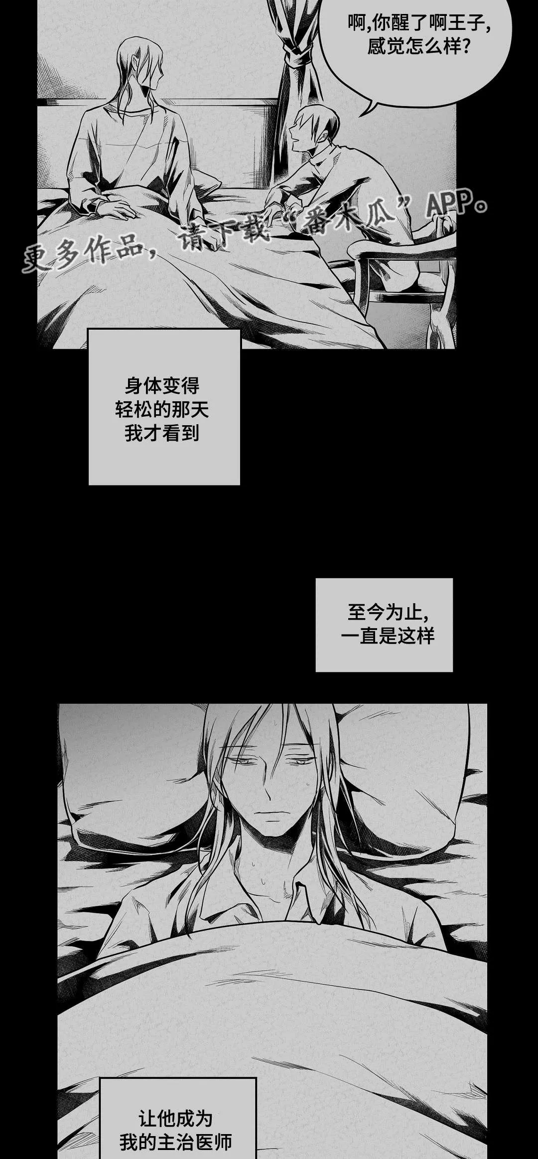 王子与巫师漫画漫画,第63章：爱情14图