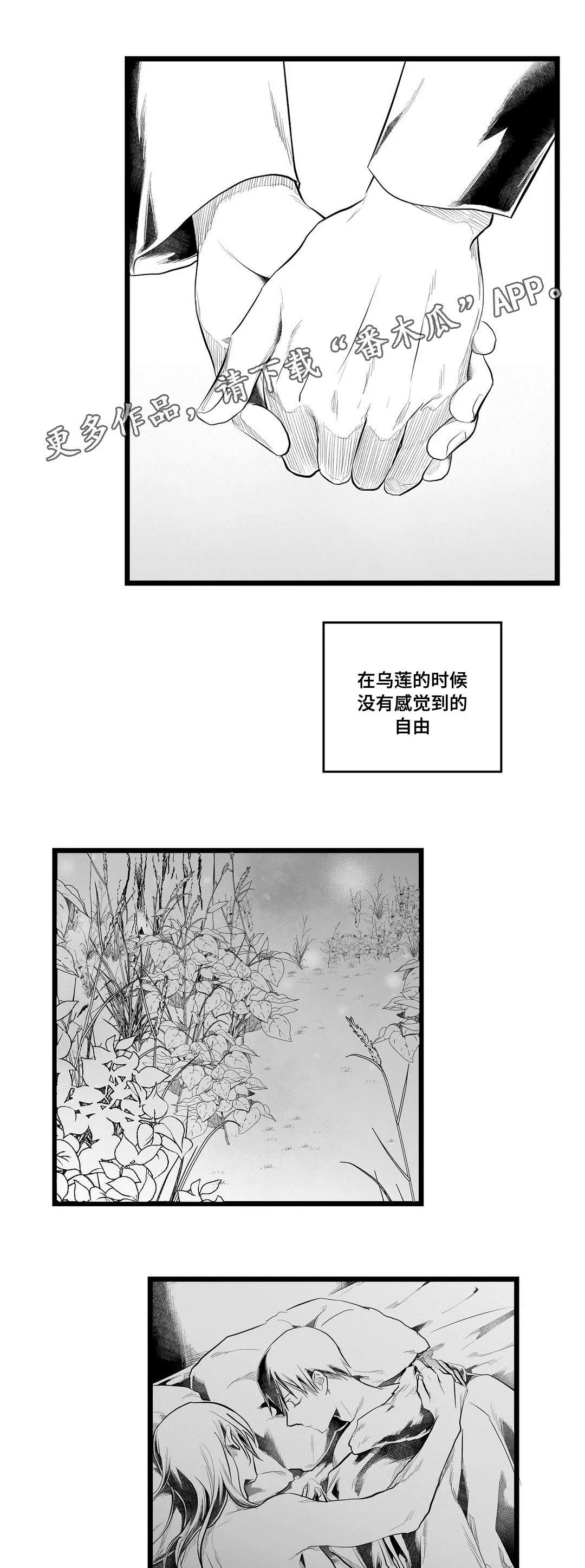 巫师与吸血鬼漫画漫画,第93章：终章24图