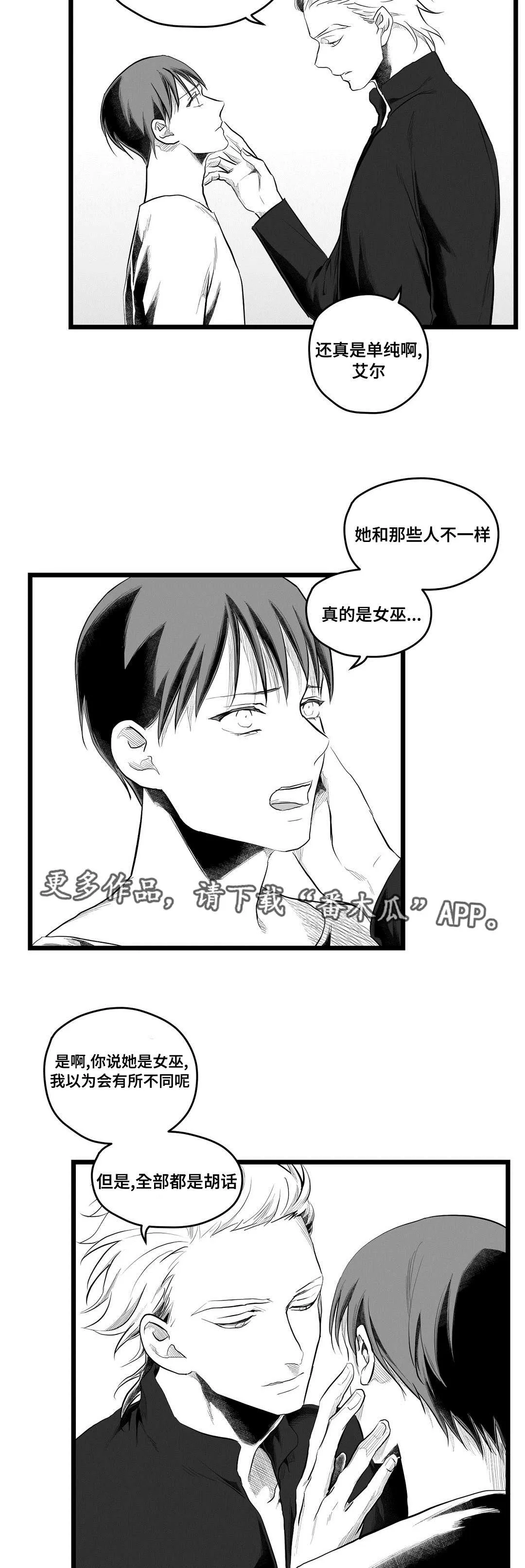 王子与巫师漫画漫画,第80章：骗子13图