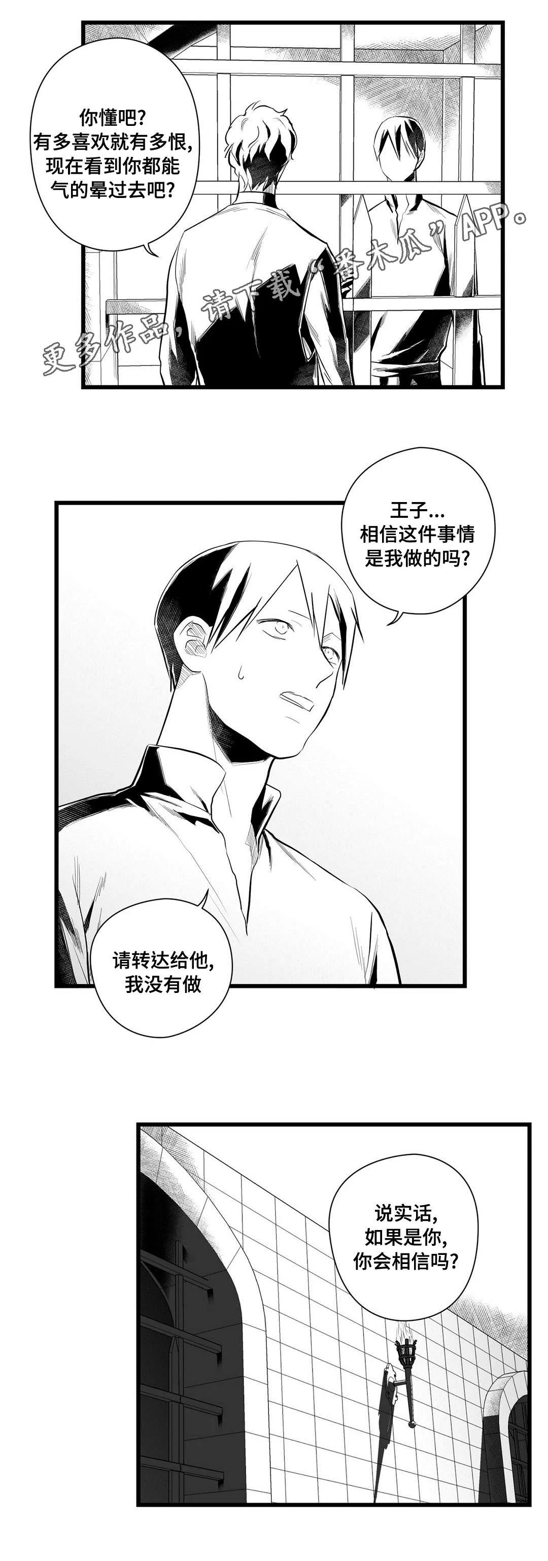 巫师与王子漫画漫画,第43章：醒了9图