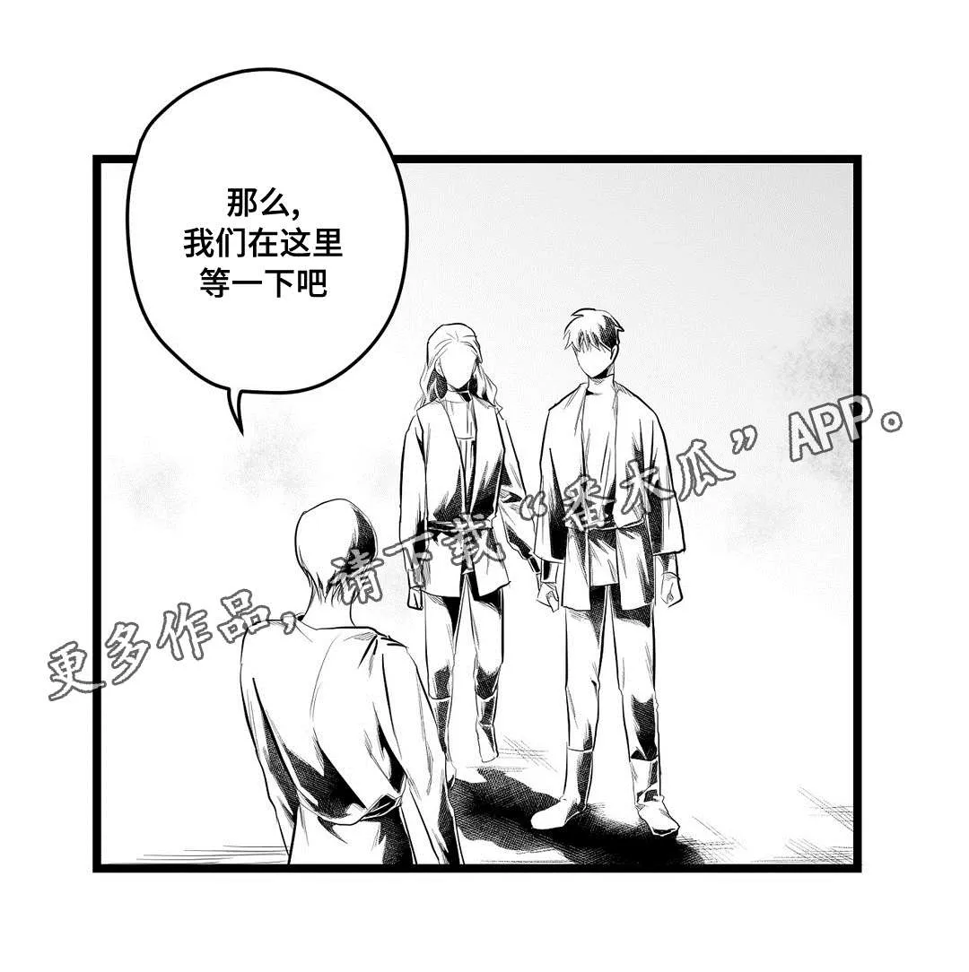 巫师与王子漫画漫画,第84章：十五22图