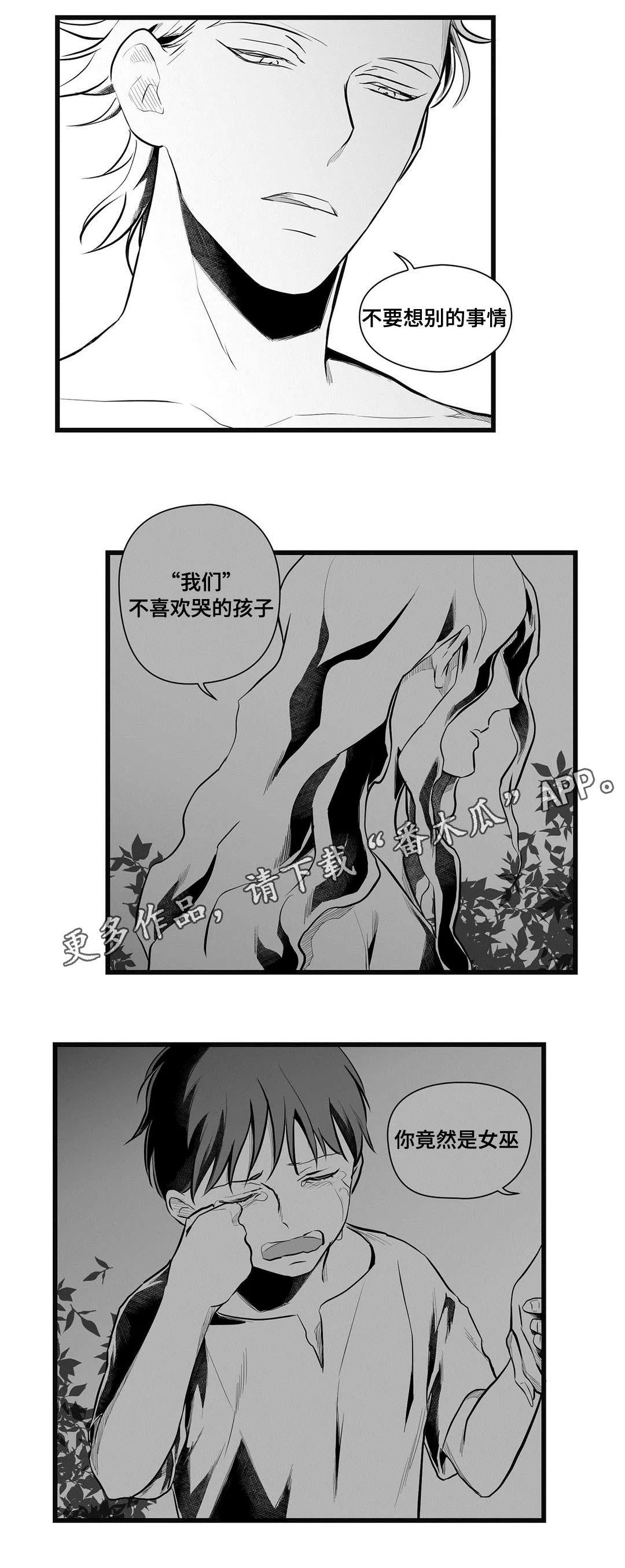 巫师与王子漫画漫画,第49章：守护5图