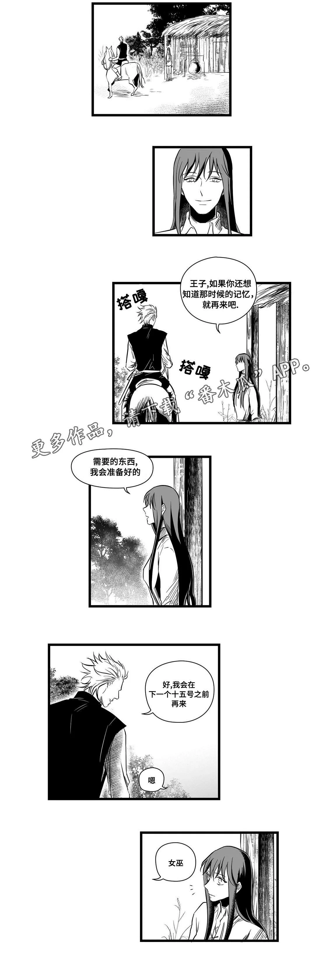 巫师与王子漫画漫画,第11章：秘密5图