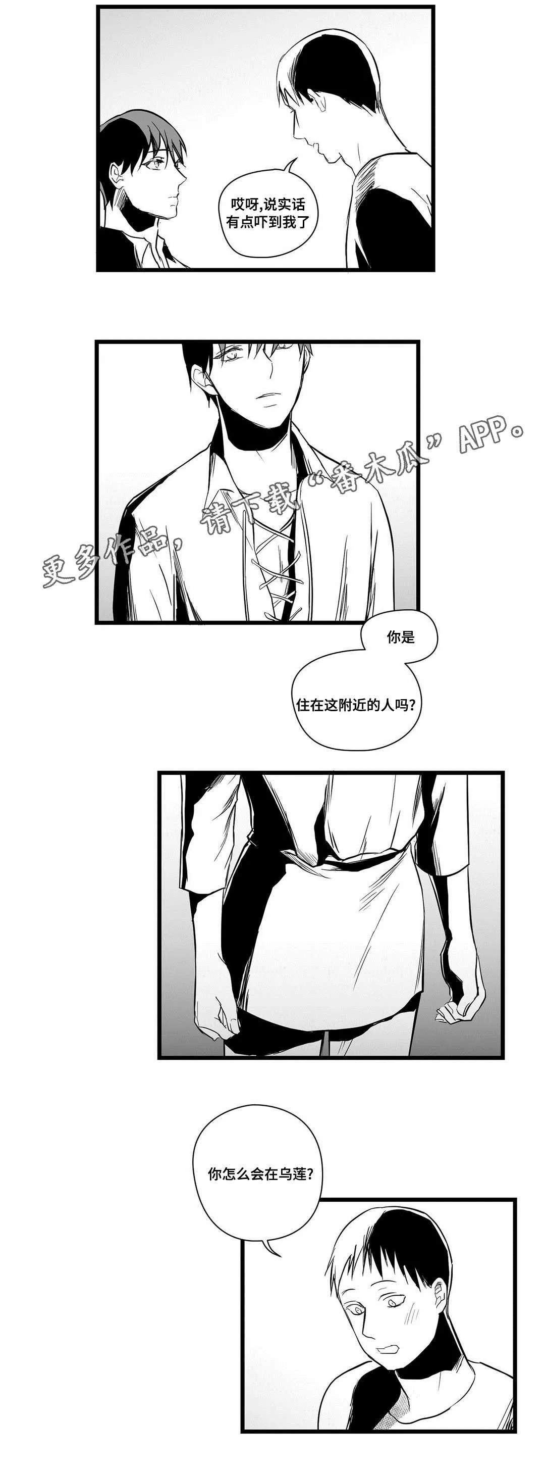 巫师漫画图片漫画,第19章：打猎9图