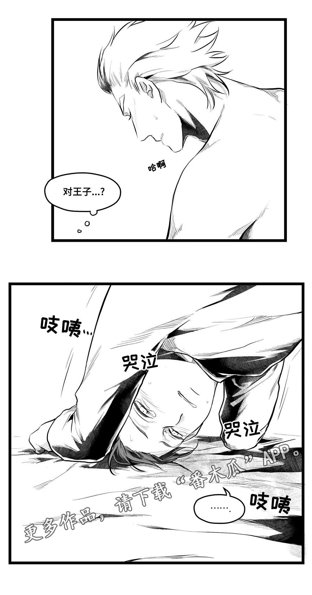 巫师与王子漫画漫画,第68章：要说什么9图