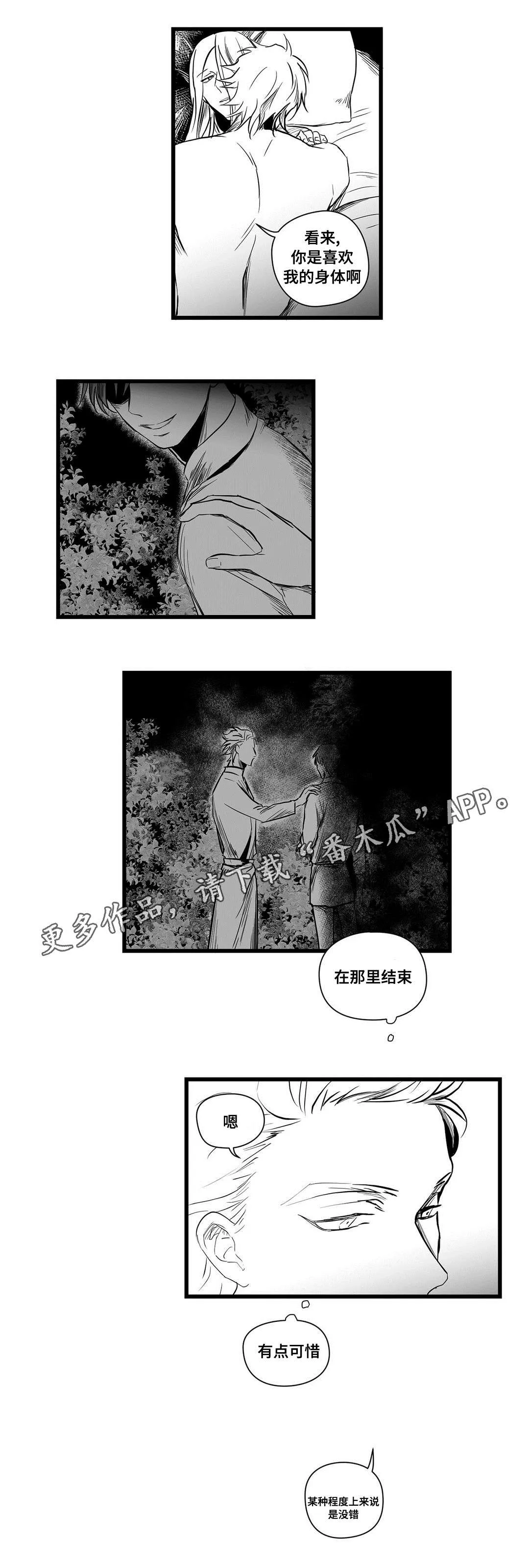 巫师与王子漫画漫画,第13章：四王子5图