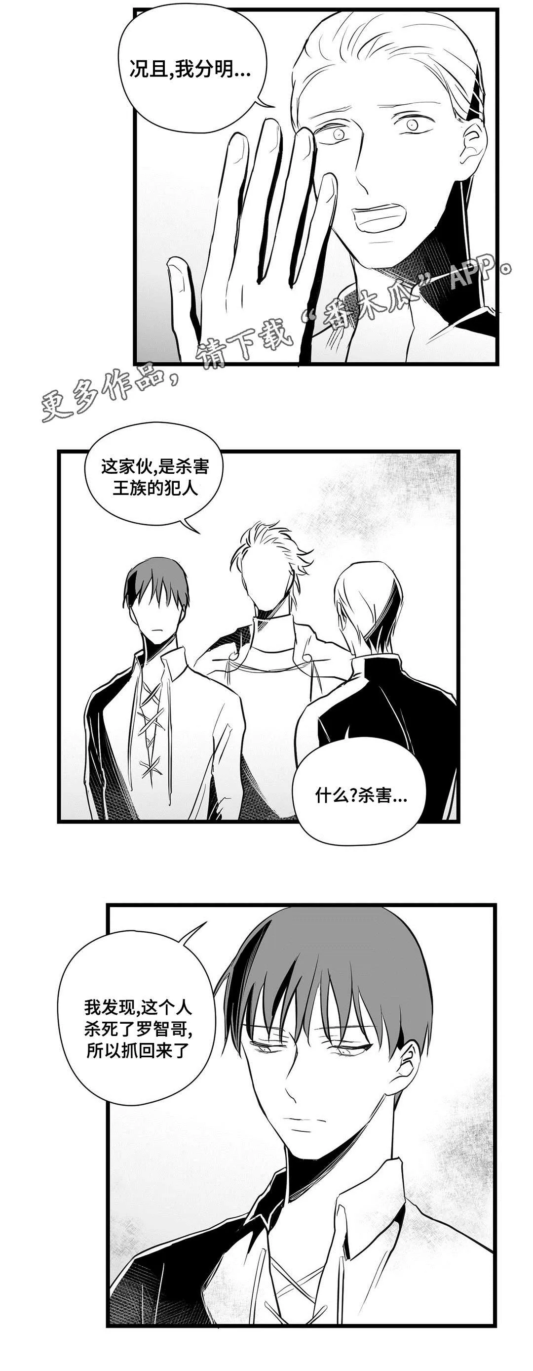 巫师与王子漫画漫画,第30章：监狱2图