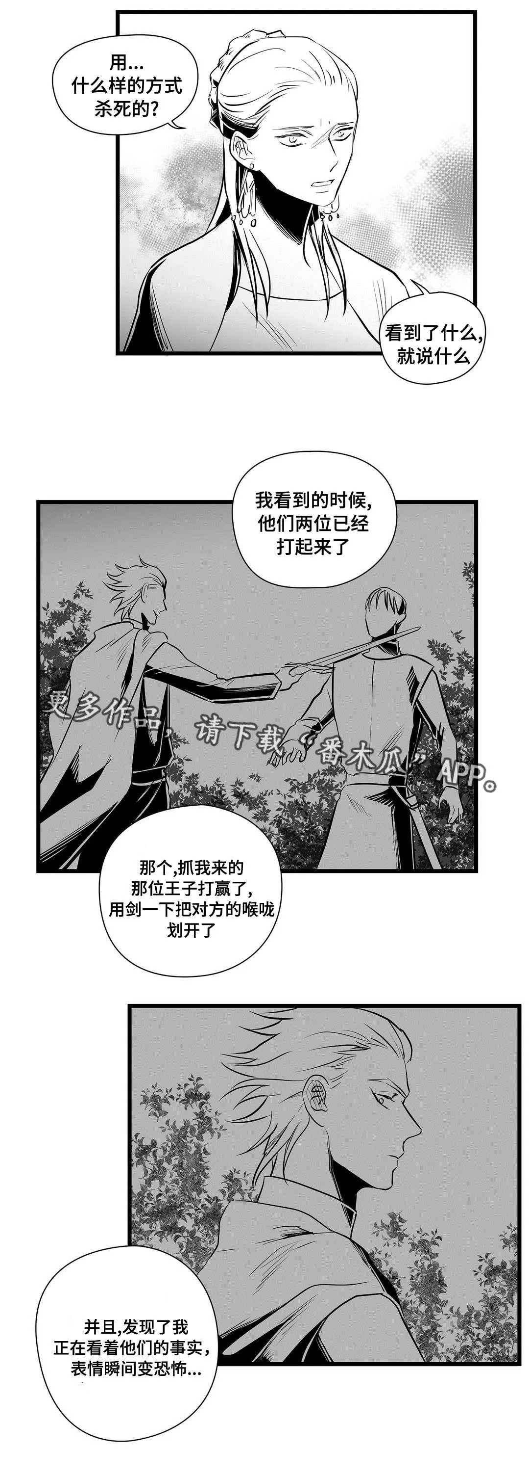 王子与巫师漫画漫画,第31章：那个女人1图