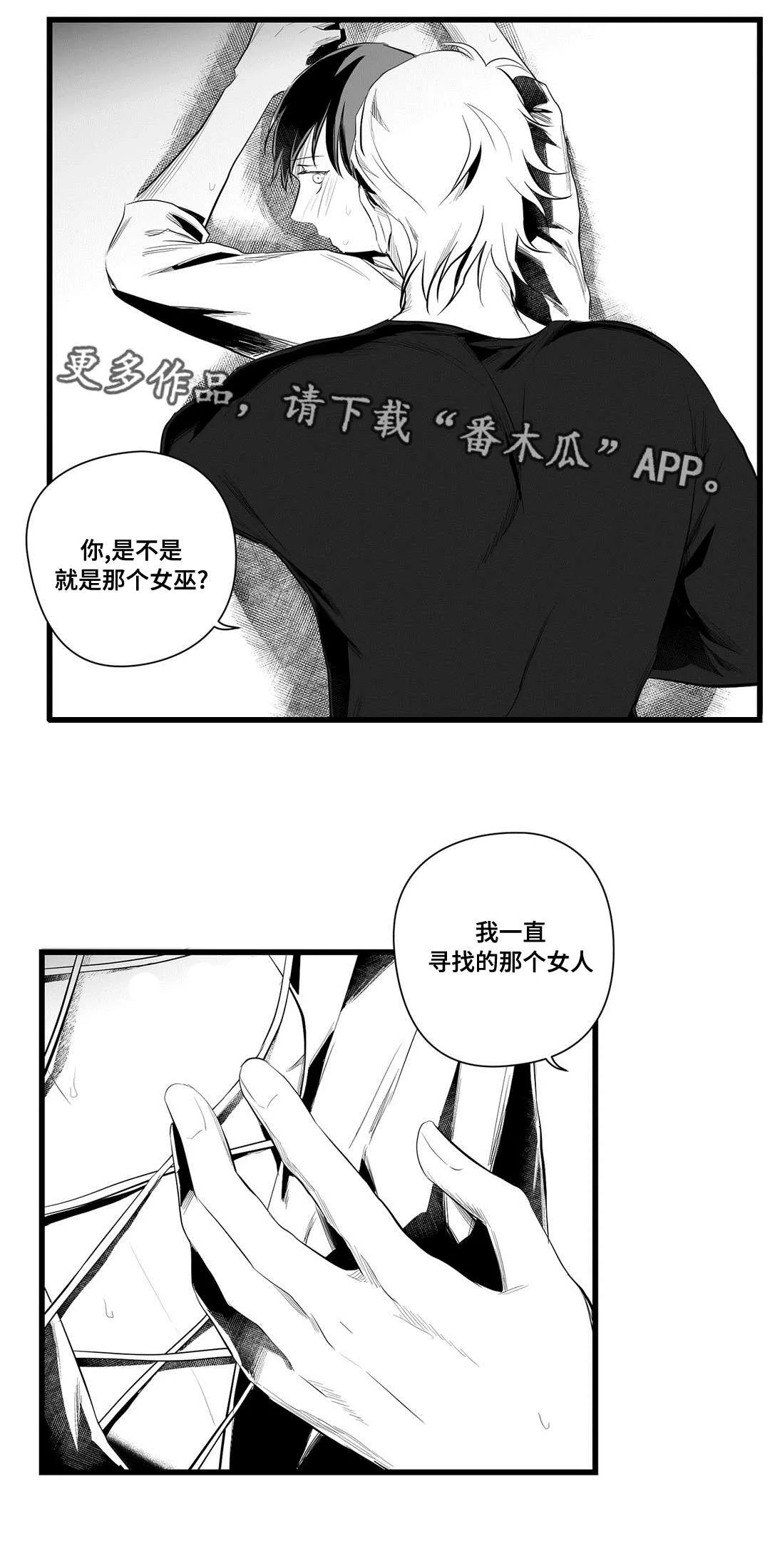 巫师与王子漫画漫画,第40章：在一起7图