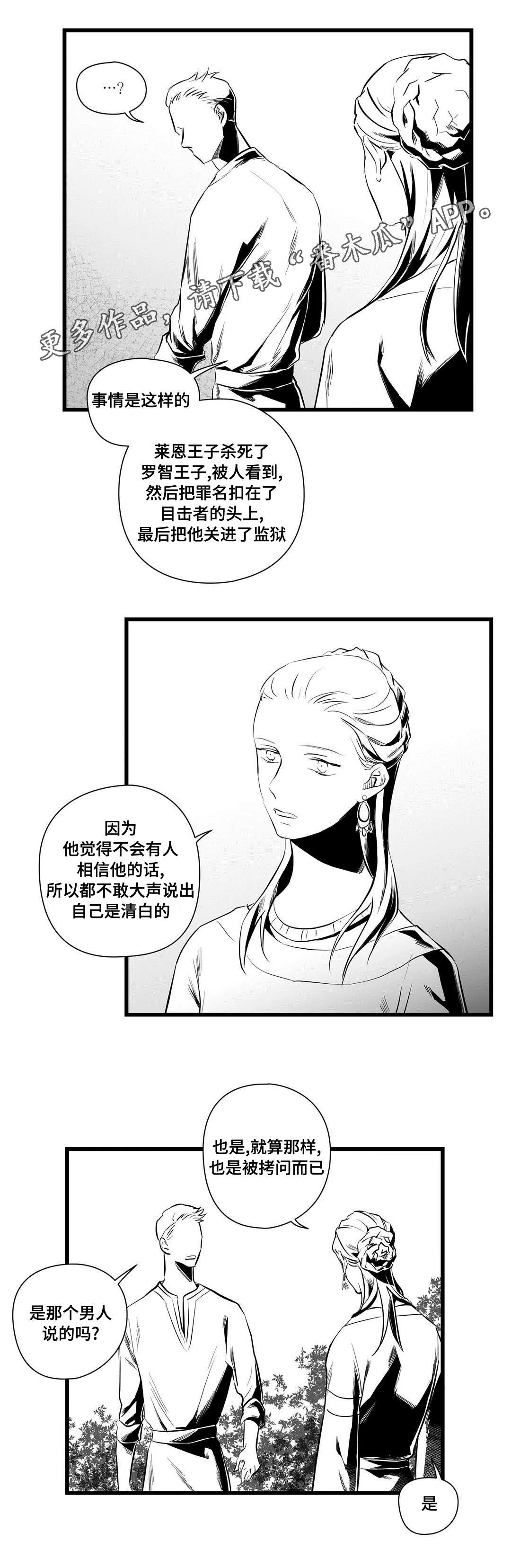 巫师与王子漫画漫画,第36章：隐瞒着什么15图