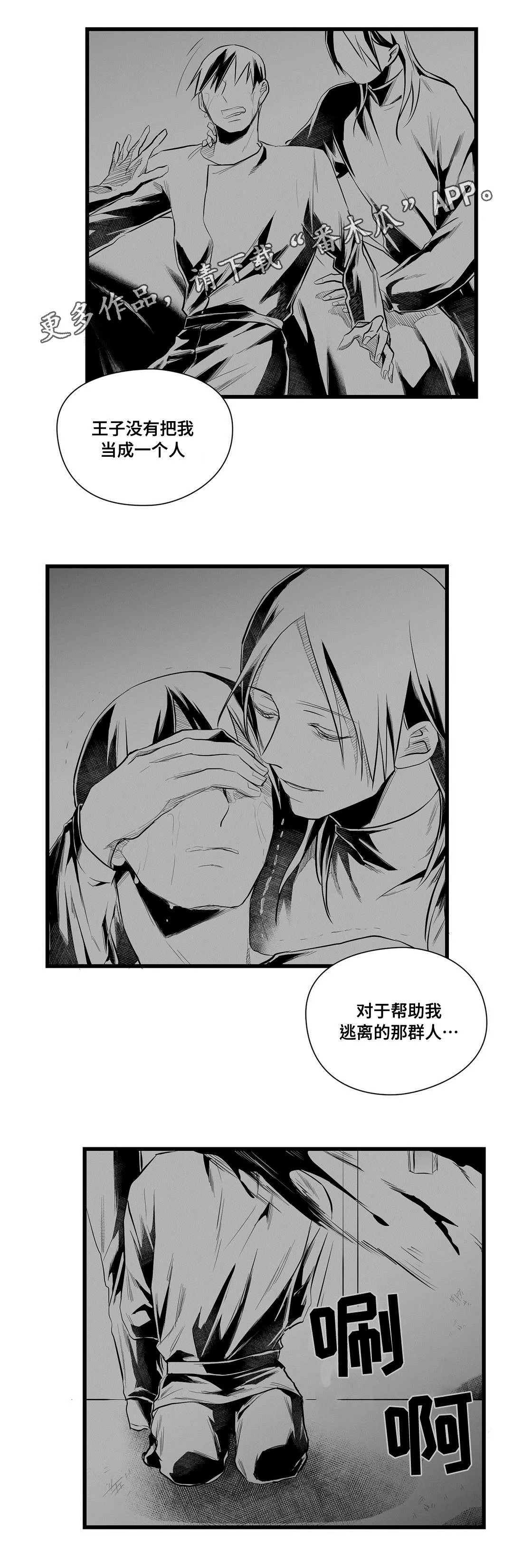 巫师与王子漫画漫画,第44章：不是那种人6图