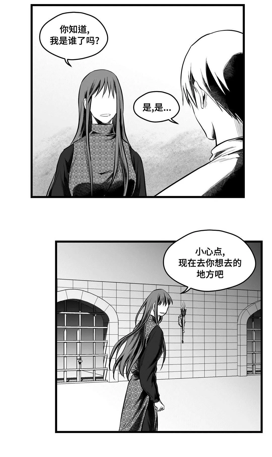 巫师与王子漫画漫画,第54章：出逃8图