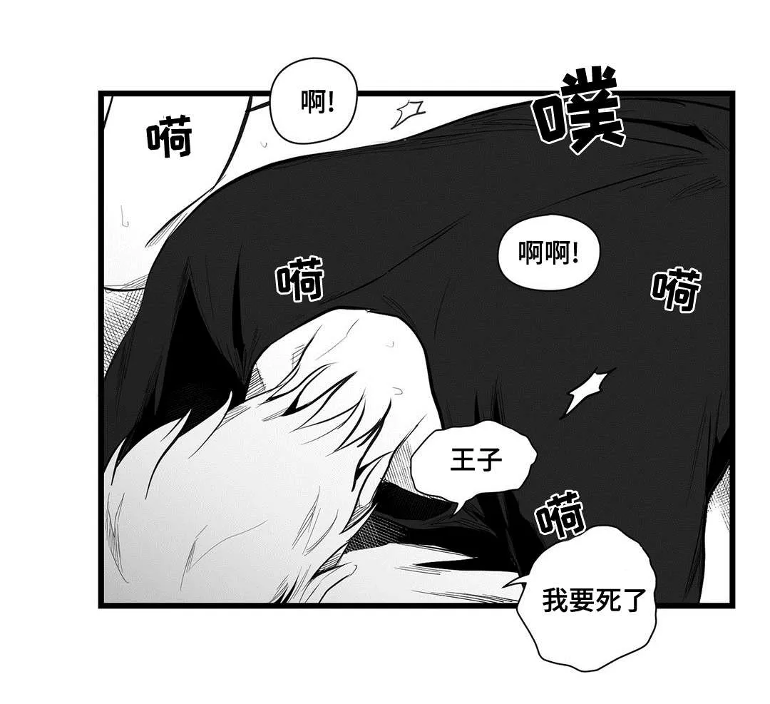 巫师与狮子漫画漫画,第39章：喜欢你6图