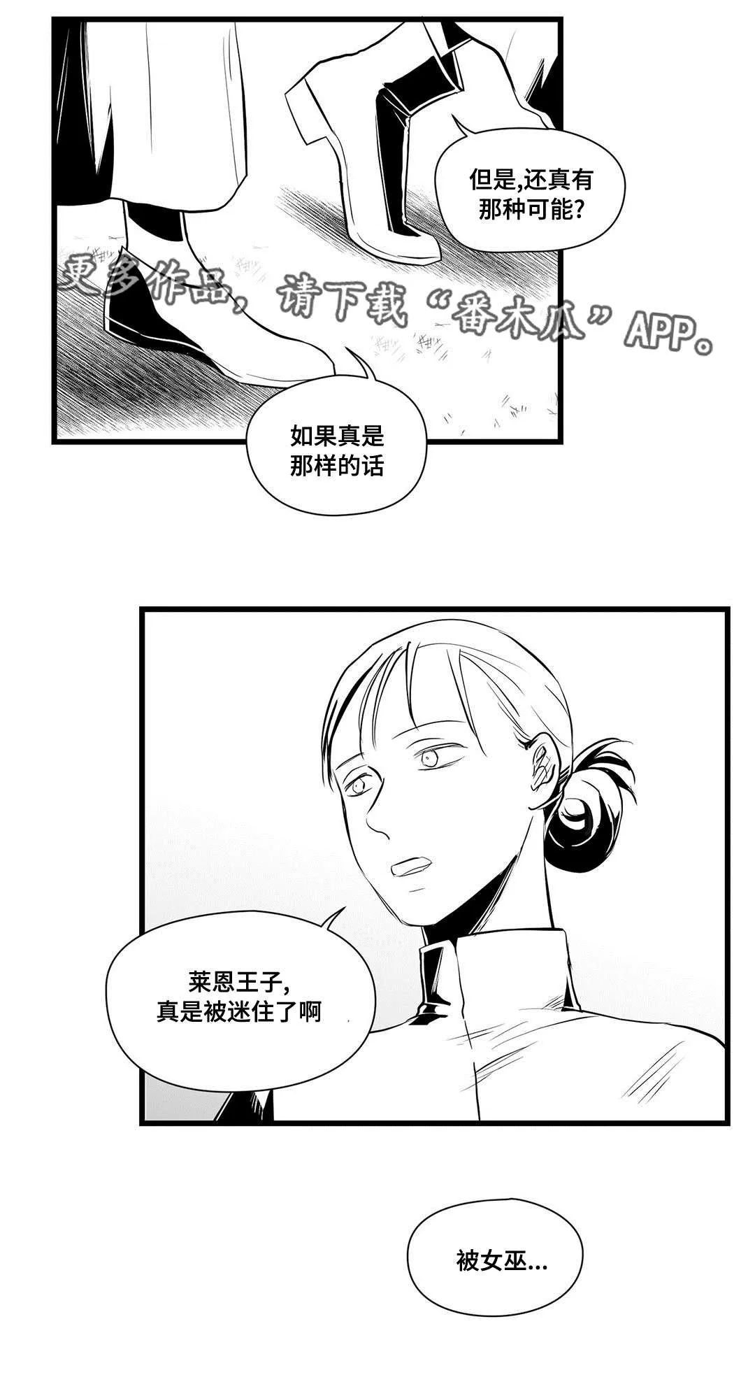 巫师与王子的二三事漫画,第32章：猜想9图