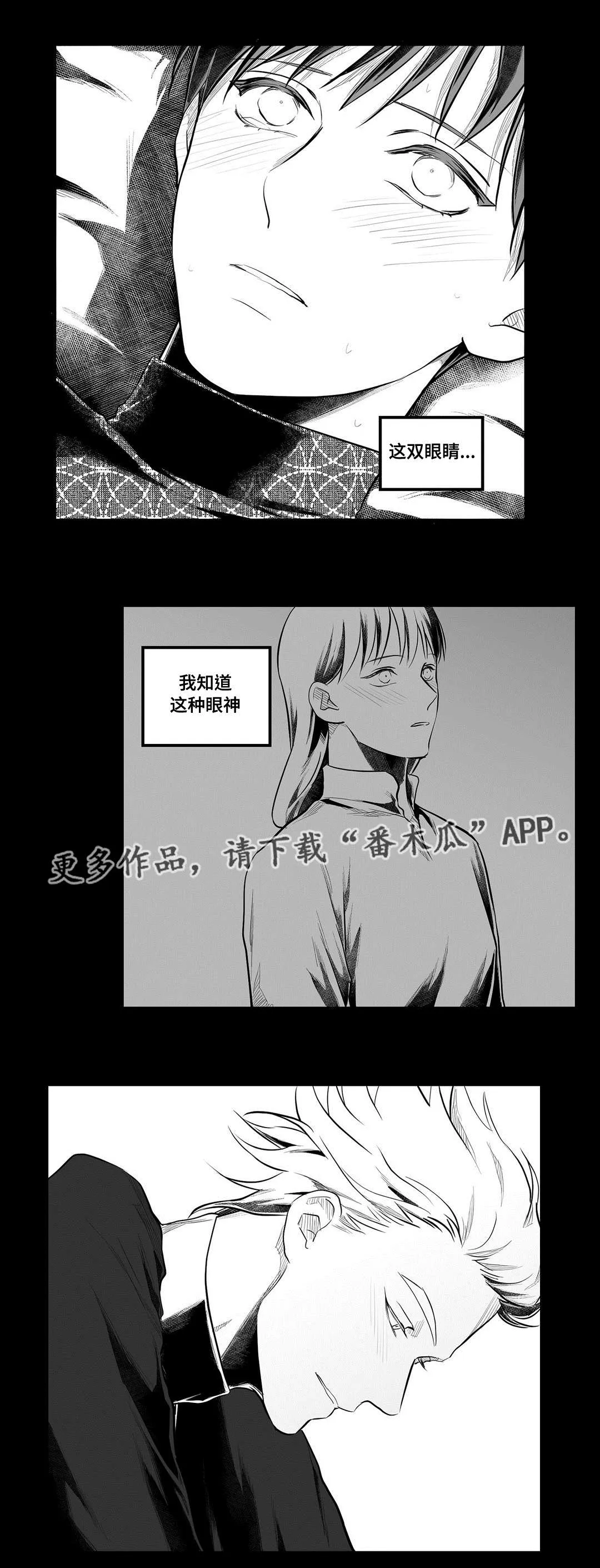 巫师与王子漫画漫画,第55章：爱上21图