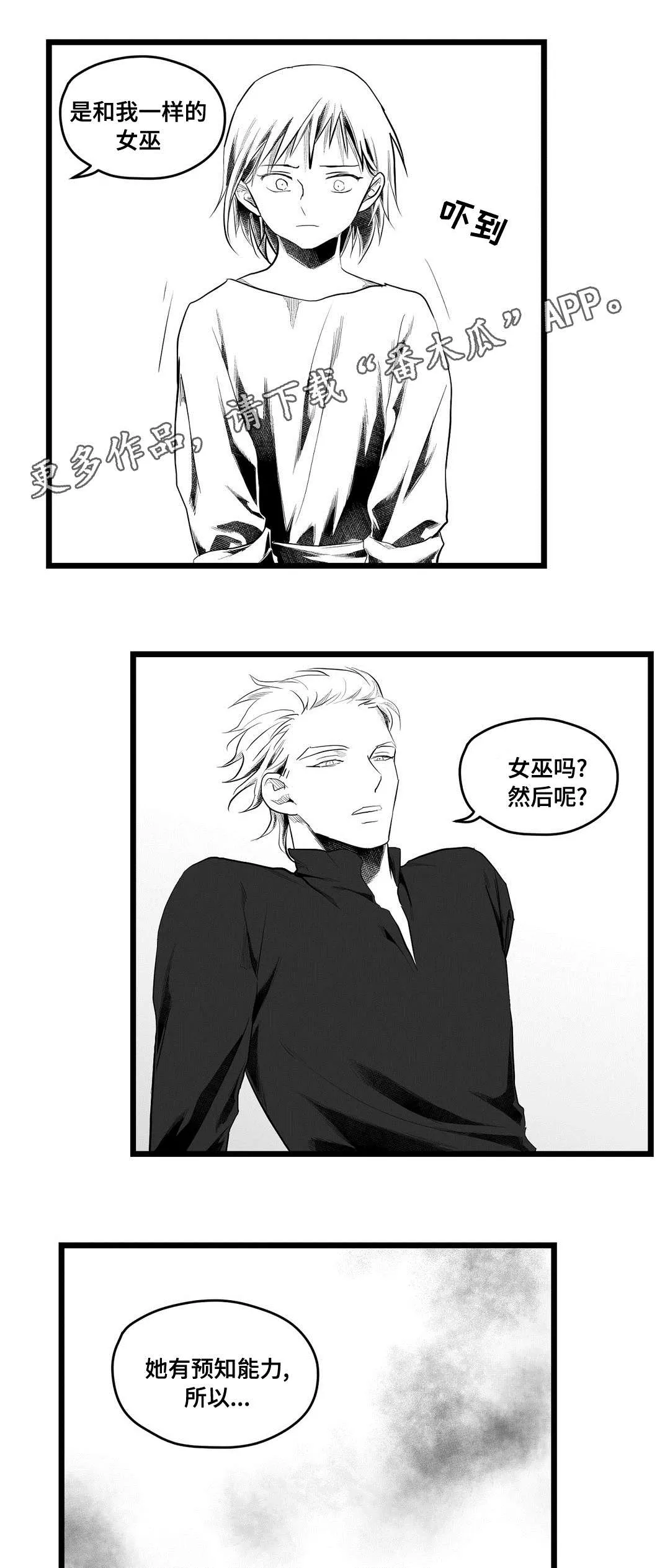 王子与巫师漫画漫画,第80章：骗子6图