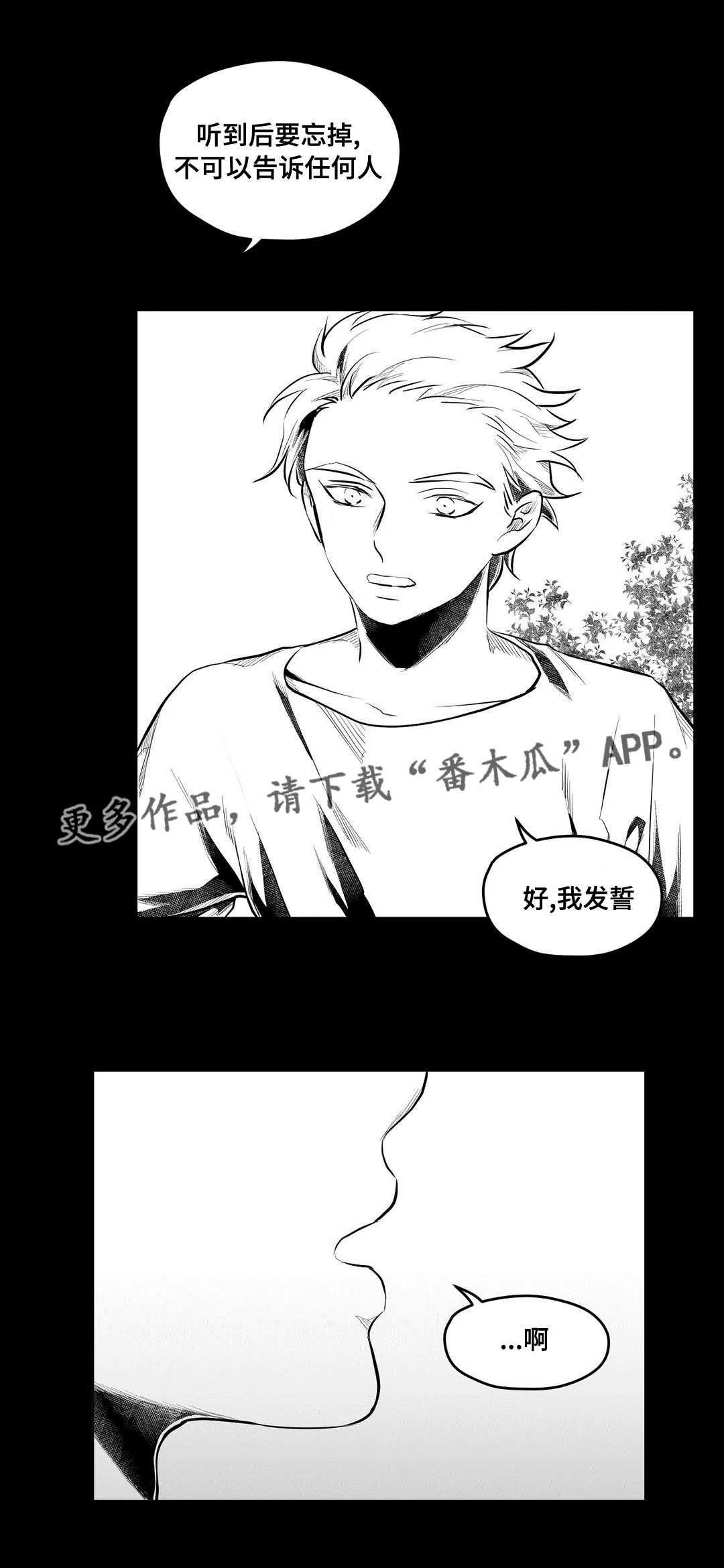 巫师与王子漫画漫画,第69章：野心20图