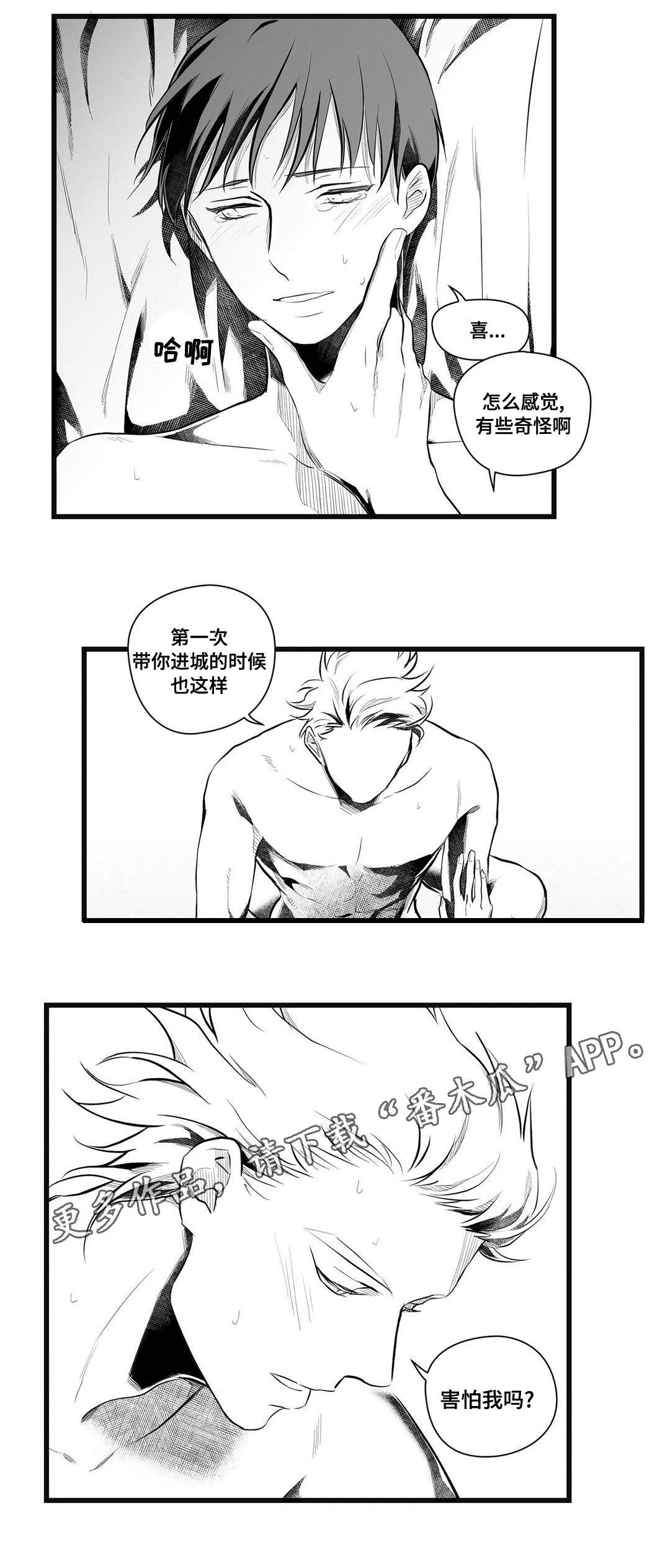 巫师与王子漫画漫画,第49章：守护9图