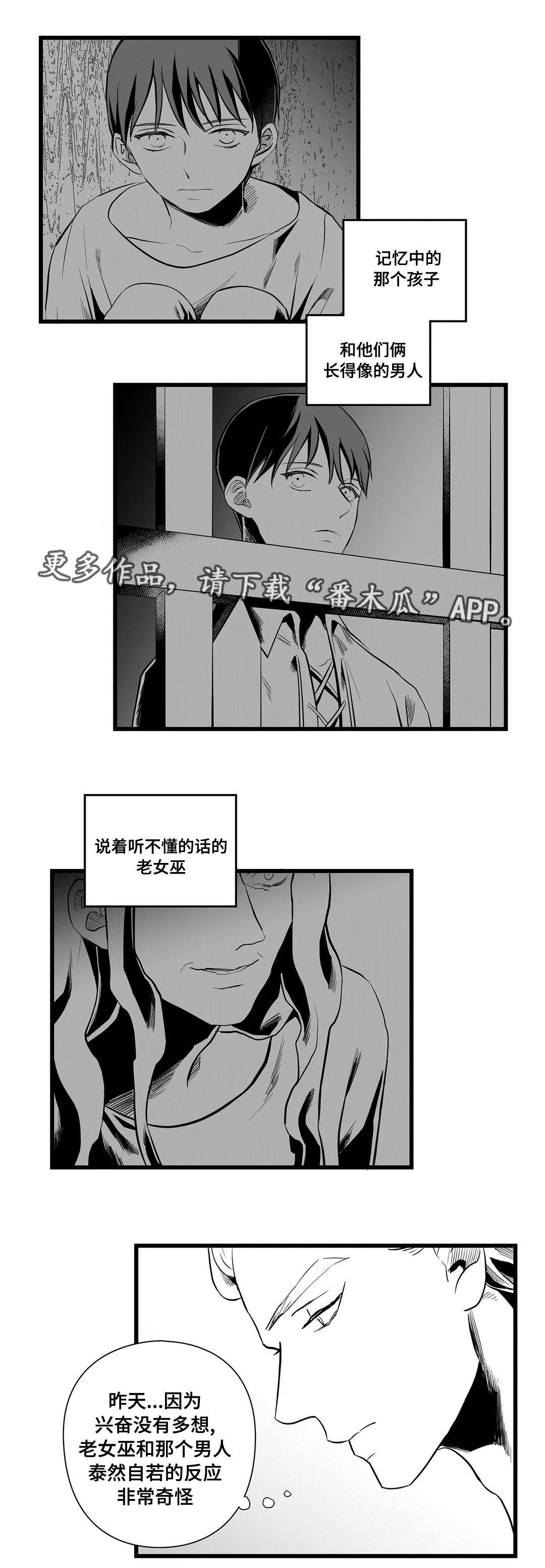 巫师与王子漫画漫画,第36章：隐瞒着什么4图