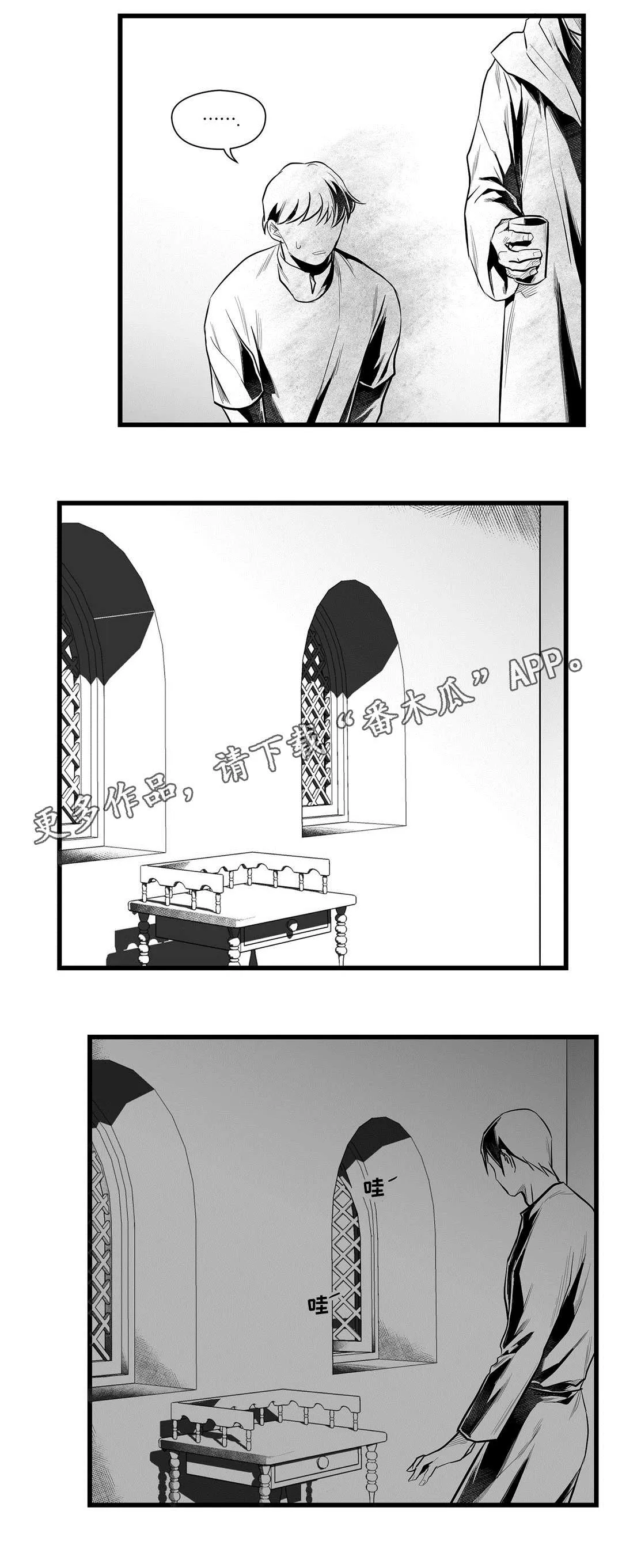 巫师与王子漫画漫画,第44章：不是那种人12图