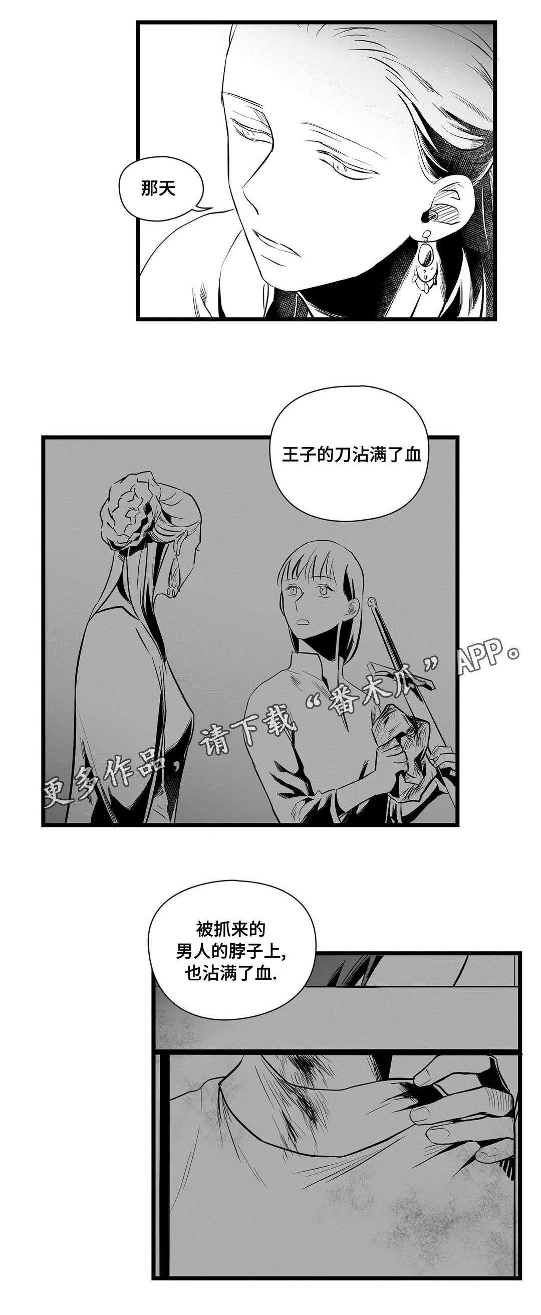 巫师与王子漫画漫画,第36章：隐瞒着什么16图