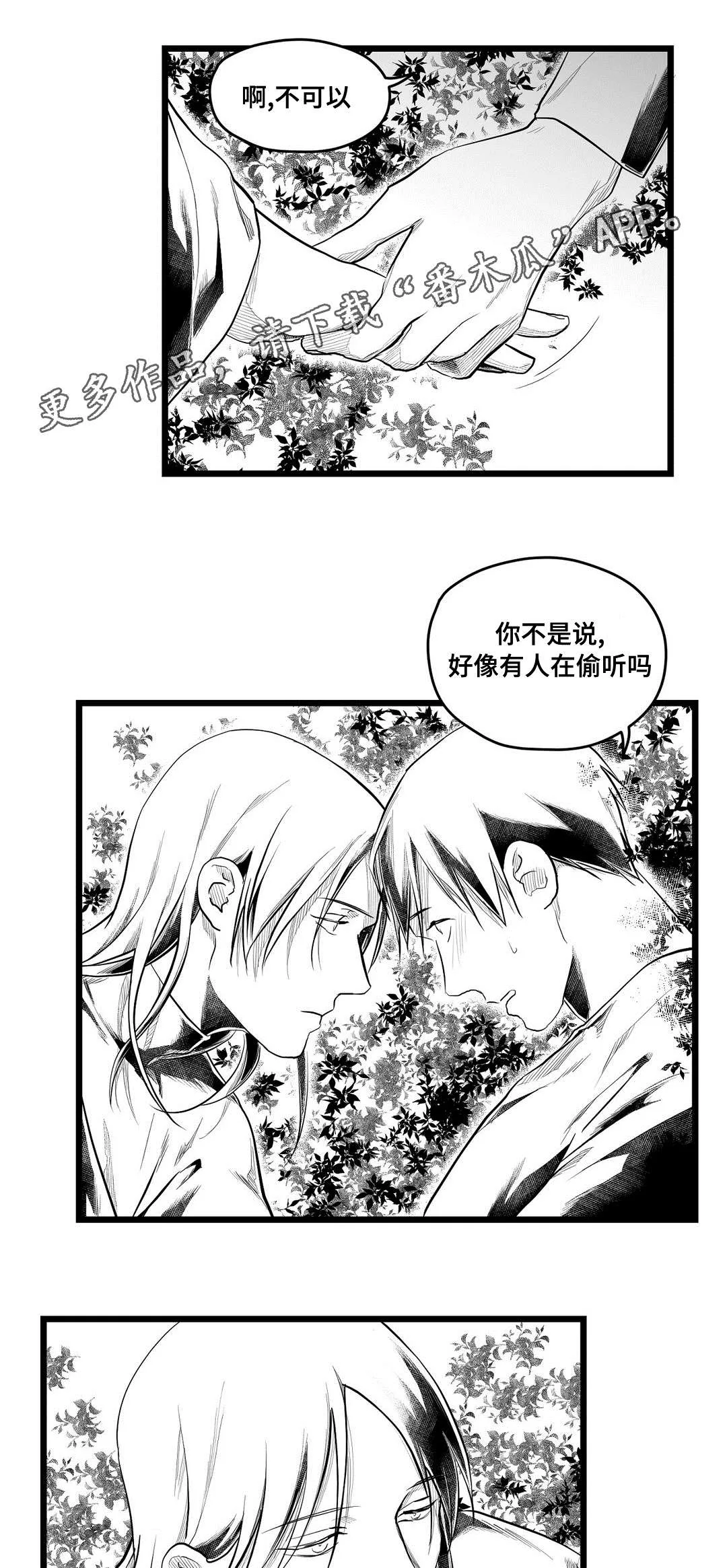 巫师与王子漫画漫画,第71章：命运5图