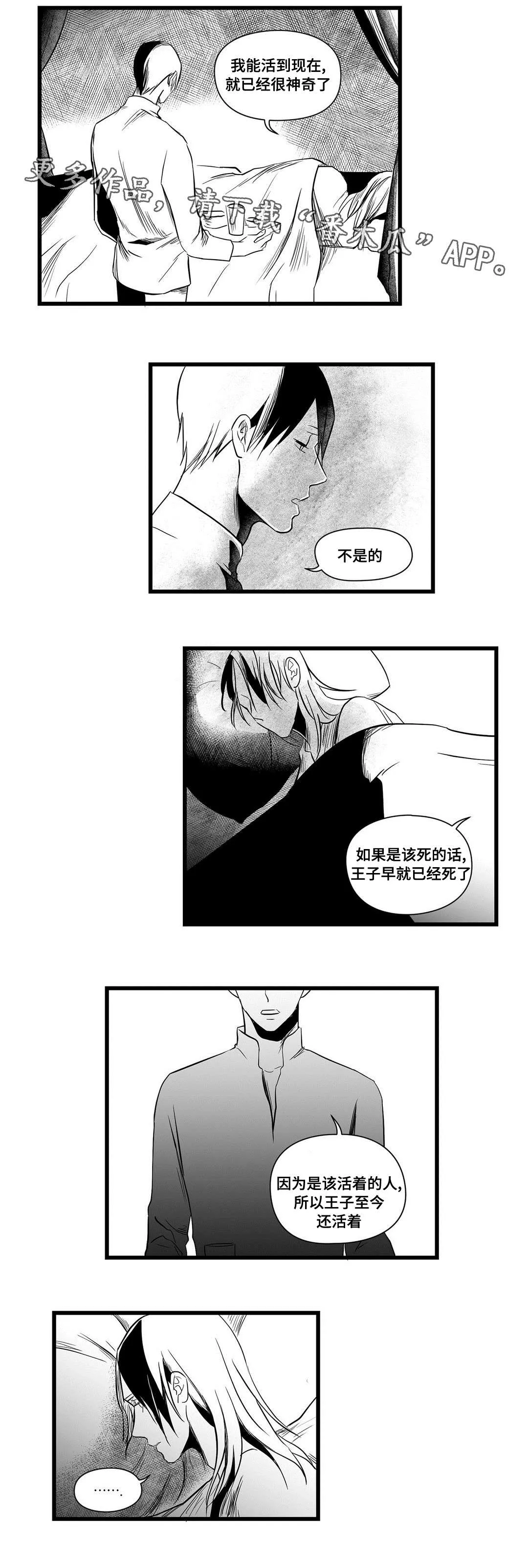 巫师与王子漫画漫画,第13章：四王子14图