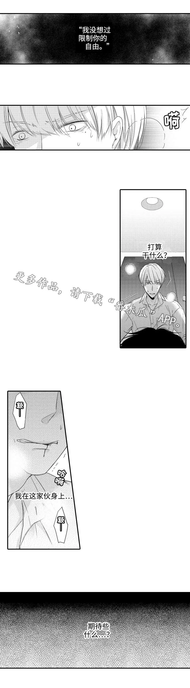 缔结漫画漫画,第11章：期待6图