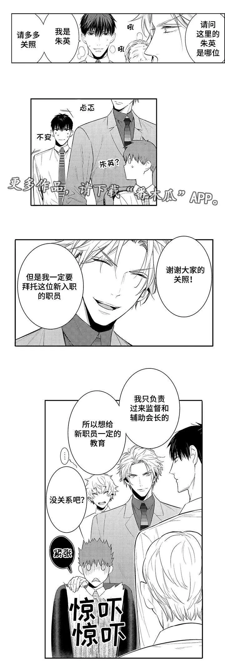 情不宜迟漫画漫画,第64章：介绍公司6图