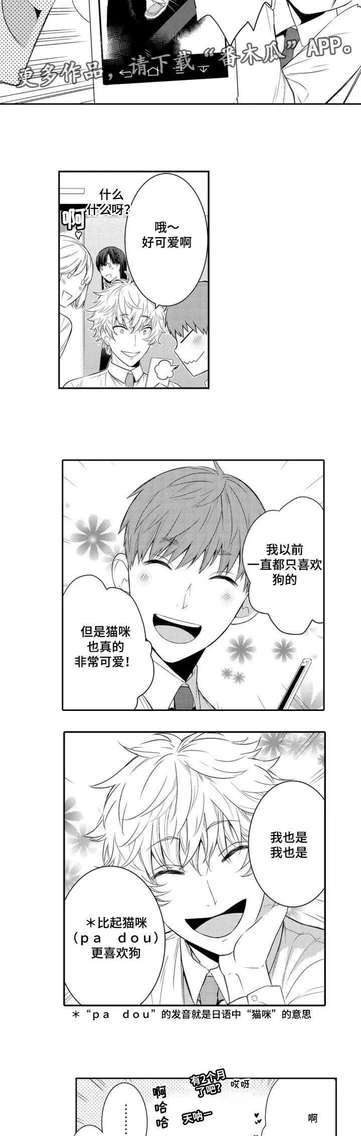 情不宜迟漫画漫画,第57章：高泰路6图