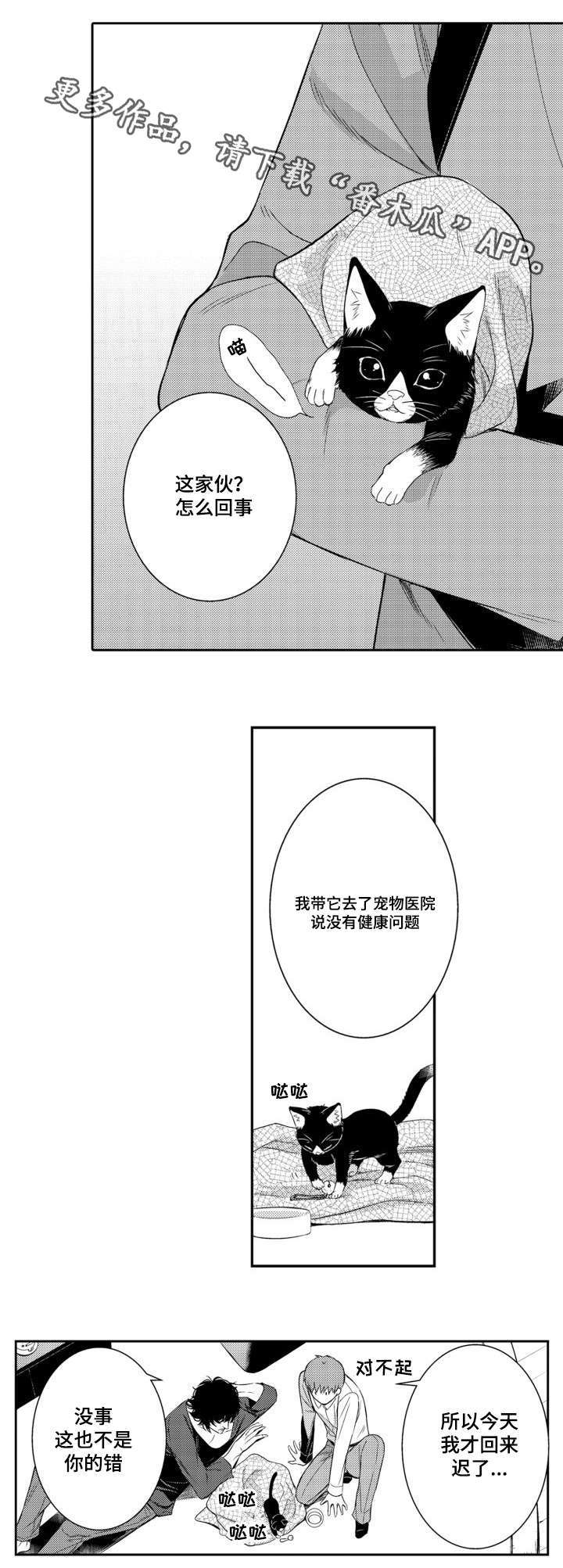 情不宜迟漫画漫画,第56章：养猫6图