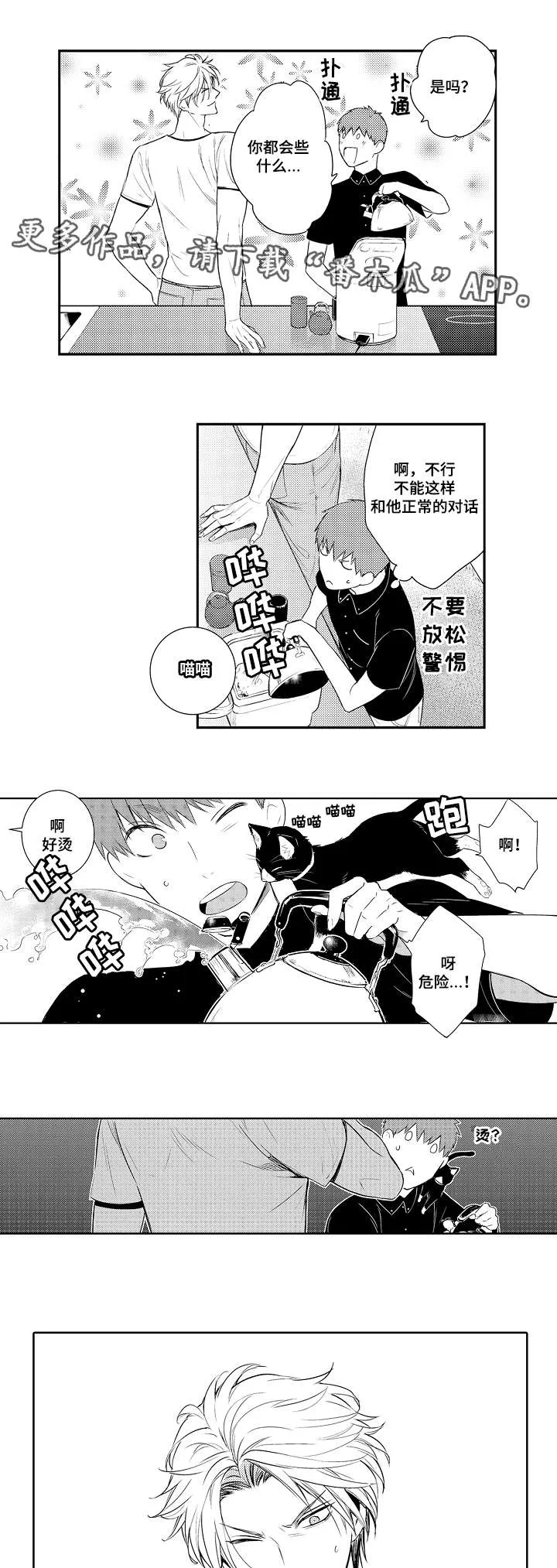 情不宜迟漫画漫画,第77章：烫伤8图