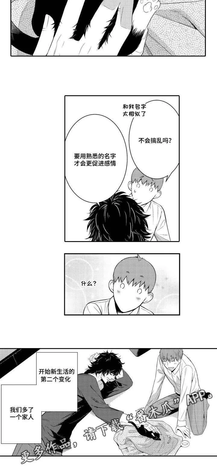 情不宜迟漫画漫画,第56章：养猫9图