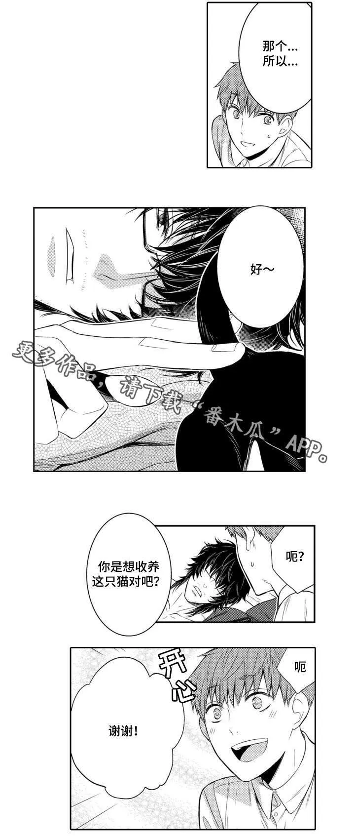 情不宜迟漫画漫画,第56章：养猫7图