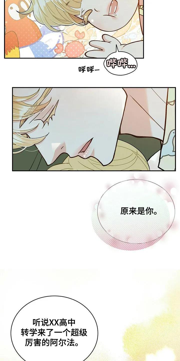 青年瑞恩漫画解说漫画,第237章：【番外】海边5图