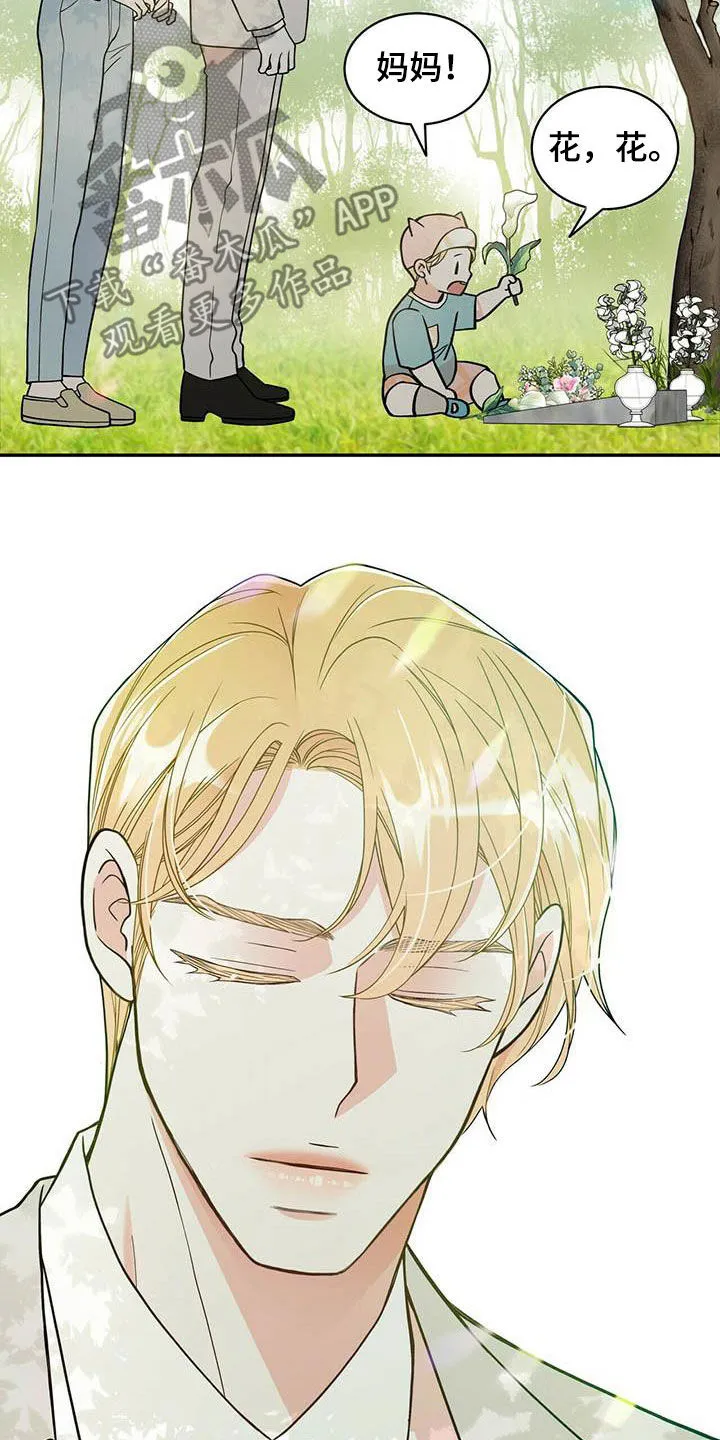 青年瑞恩漫画漫画,第234章：【番外】祝你幸福15图