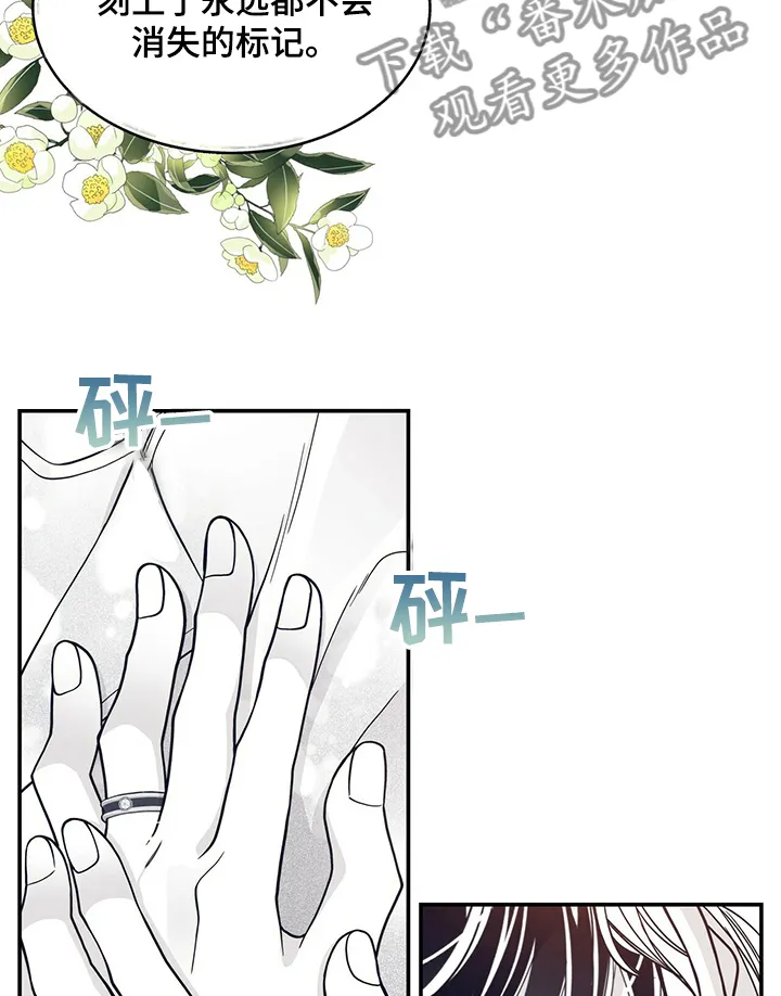 青年瑞恩漫画解说漫画,第203章：【第二季】憧憬未来15图