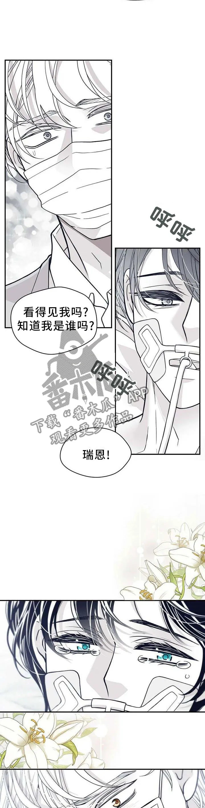 青年瑞恩漫画漫画,第199章：【第二季】得救13图