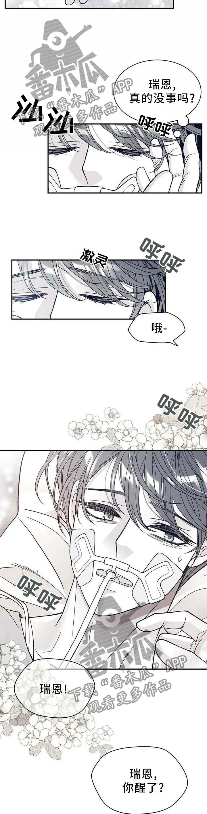 青年瑞恩漫画漫画,第199章：【第二季】得救12图
