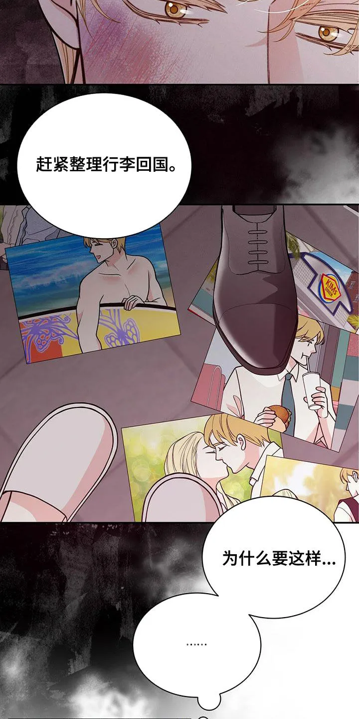 青年瑞恩漫画漫画,第238章：【番外】一定会幸福6图